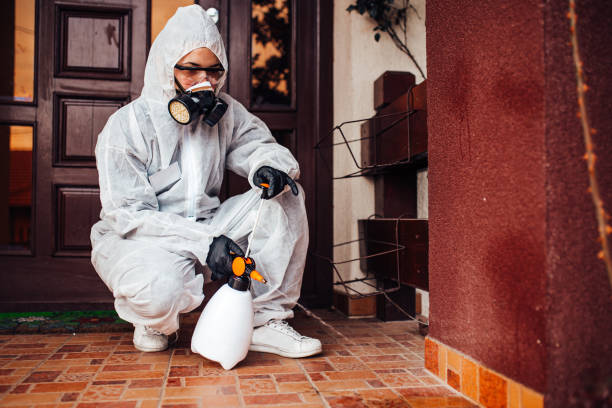 Reliable Bed Bug Control contractor in Grove City, OH by Nex Pest Control