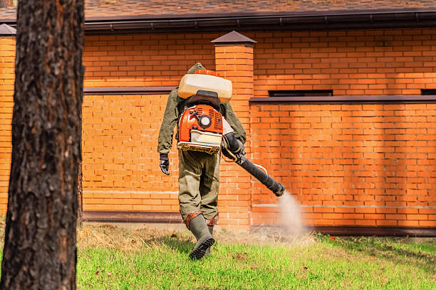 Trusted Termite Control service in Grove City, OH - Nex Pest Control